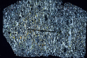 Cross Polarized, S89191