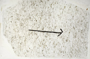 Plane Polarized, S89191