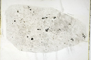 Plane Polarized, S89199