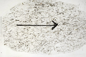 Plane Polarized, S89205