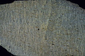 Cross Polarized, S89216