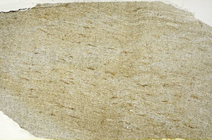 Plane Polarized, S89216