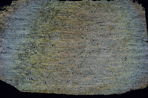 Cross Polarized, S89219