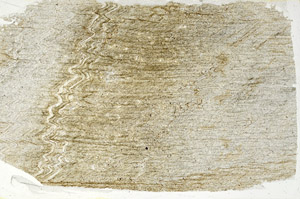 Plane Polarized, S89219