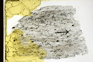 Plane Polarized, S89221