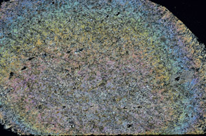 Cross Polarized, S89222