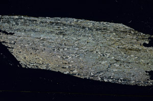 Cross Polarized, S89225