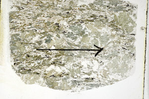 Plane Polarized, S89226