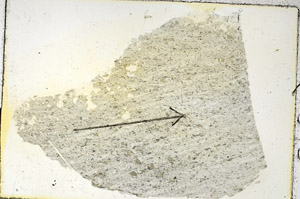 Plane Polarized, S89228