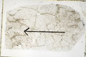 Plane Polarized, S89229