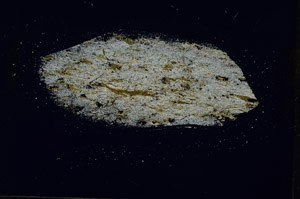 Cross Polarized, S89234