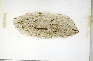 Plane Polarized, S89234