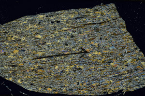 Cross Polarized, S89235