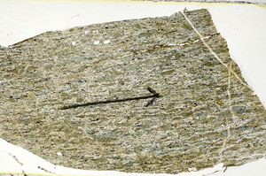 Plane Polarized, S89235