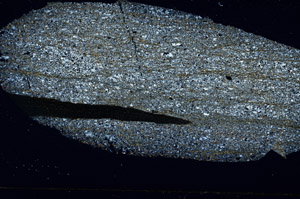 Cross Polarized, S89236