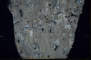 Cross Polarized, S89240