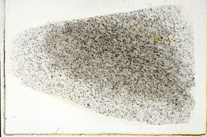 Plane Polarized, S89245