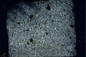 Cross Polarized, S89246