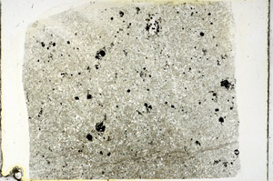 Plane Polarized, S89246