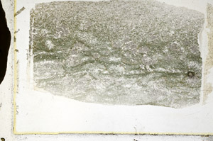 Plane Polarized, S89248