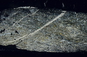 Cross Polarized, S89260