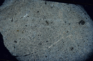 Cross Polarized, S89261