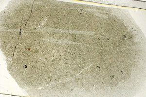Plane Polarized, S89261