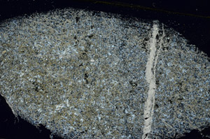 Cross Polarized, S89263