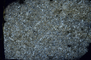 Cross Polarized, S89264