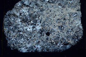 Cross Polarized, S89265