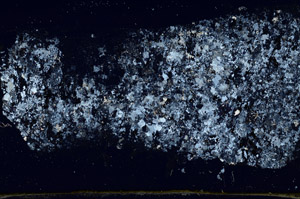Cross Polarized, S89267