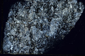 Cross Polarized, S89270