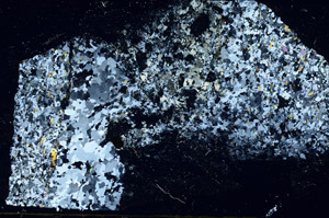Cross Polarized, S89274