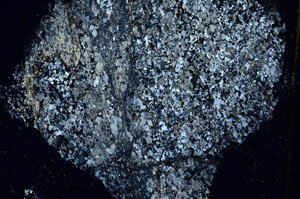 Cross Polarized, S89275
