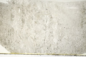 Plane Polarized, S89277