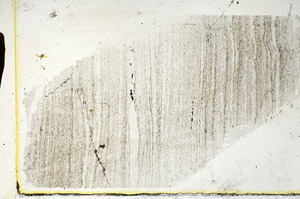 Plane Polarized, S89282