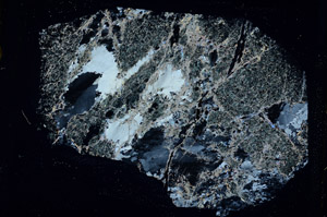 Cross Polarized, S89285