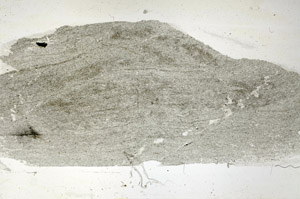 Plane Polarized, S89286