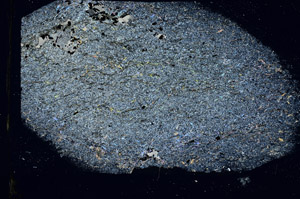 Cross Polarized, S89289