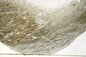 Plane Polarized, S89293
