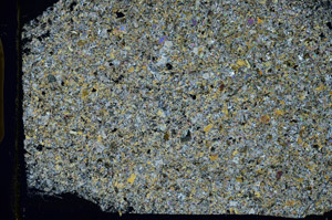 Cross Polarized, S89293/A