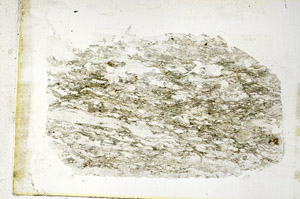 Plane Polarized, S89294