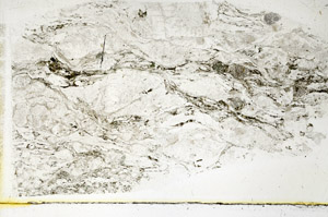 Plane Polarized, S89295