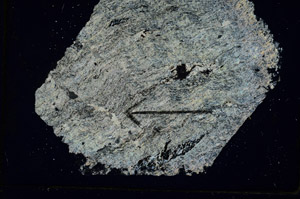 Cross Polarized, S89299