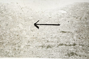 Plane Polarized, S89302