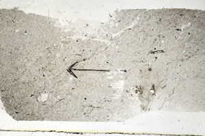 Plane Polarized, S89305