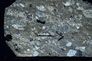 Cross Polarized, S89307