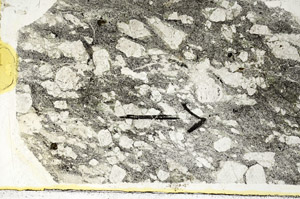 Plane Polarized, S89307