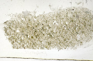 Plane Polarized, S89316
