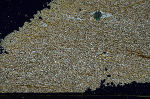 Cross Polarized, S89317